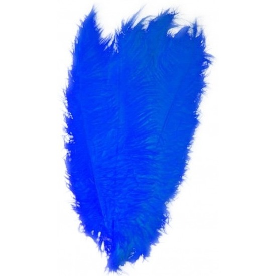 2x Blauwe decoratieveren/vogelveren 50 cm