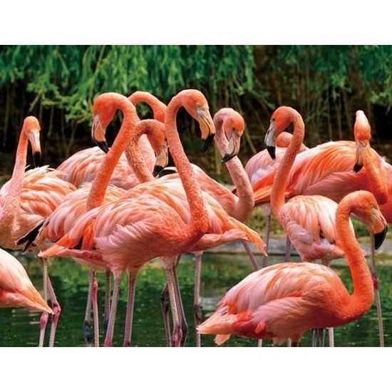 3D magneten flamingo