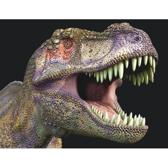 3D magneten met T-rex dinosaurus