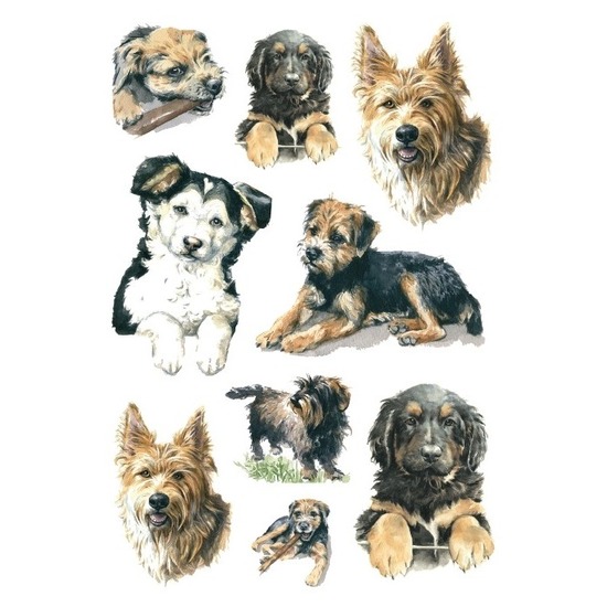 81x Honden stickertjes voor kinderen