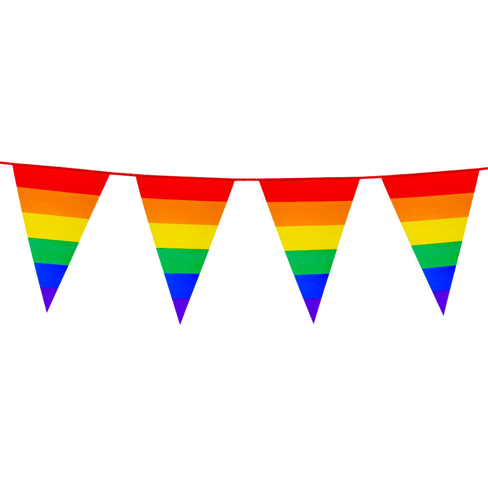 Boland PE vlaggenlijn 8m Regenboog Universeel Thema