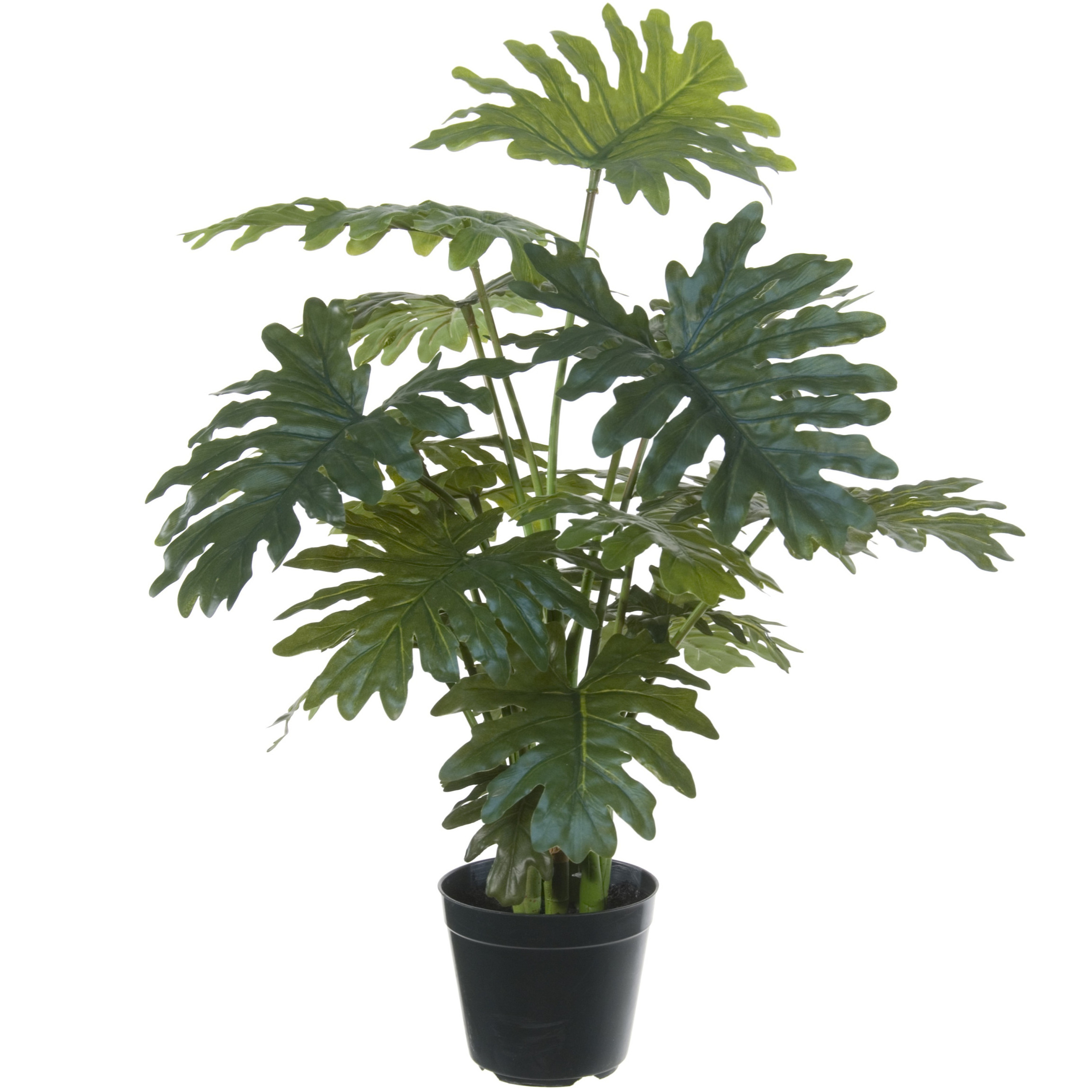 Groene gatenplant Philodendron Selloum kunstplant in zwarte kunststof pot 65 cm