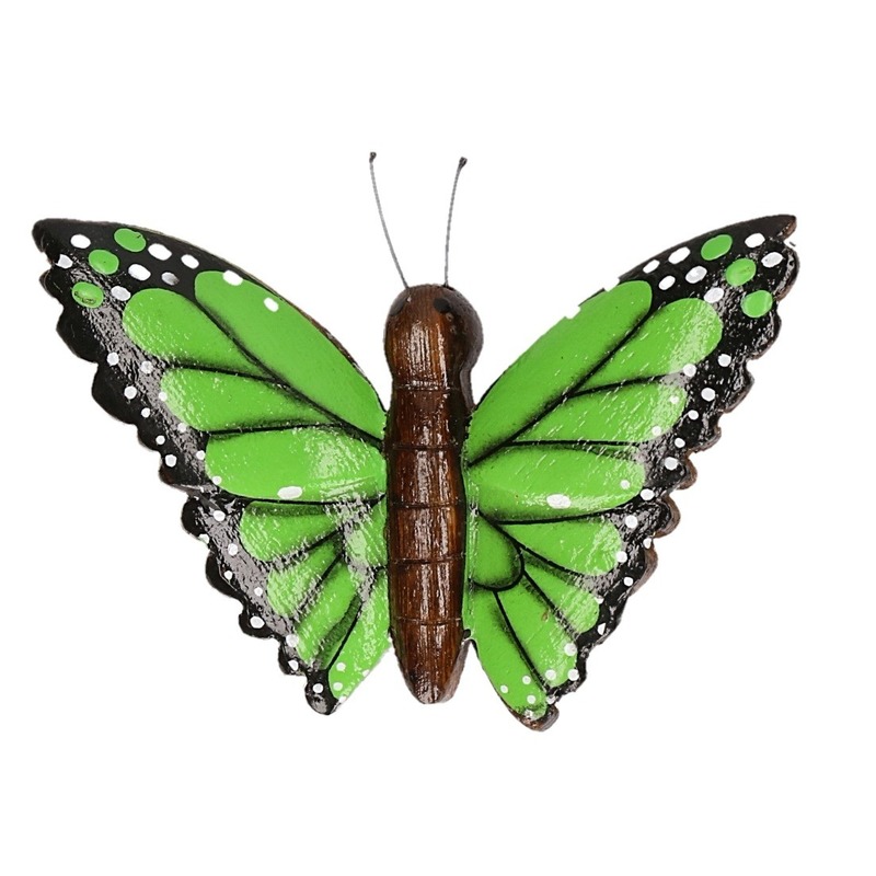 Hout magneet groene vlinder