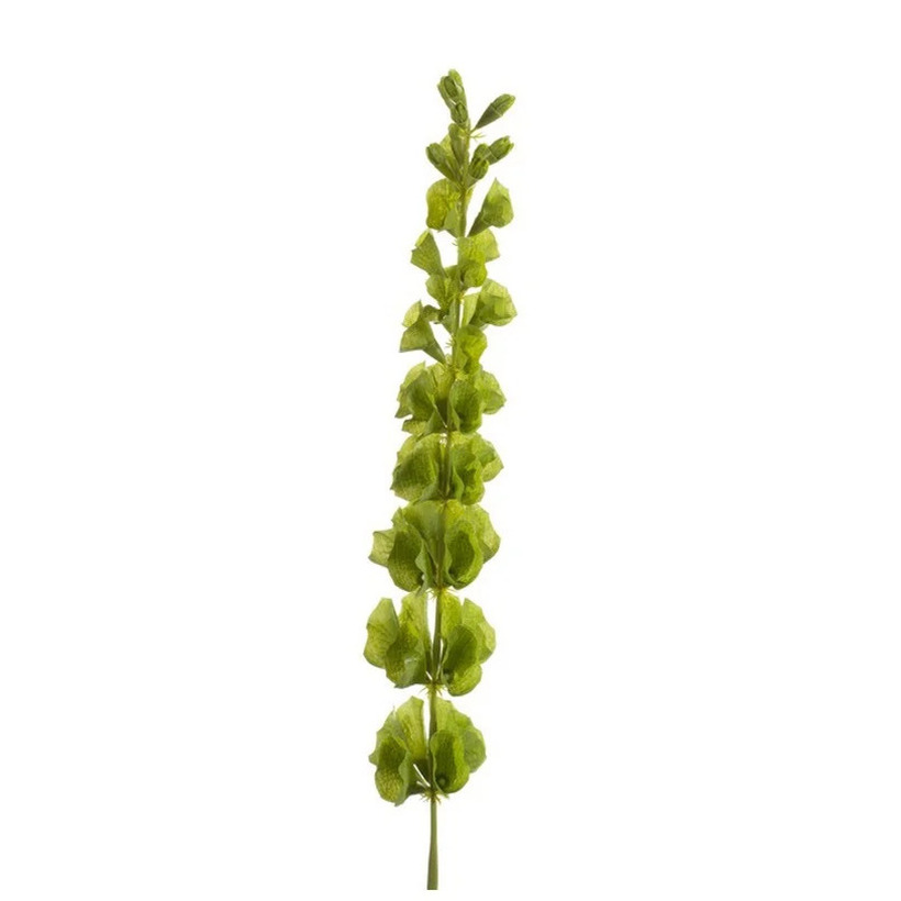 Kunstplant Molucella 80 cm groen losse tak voor kunstbloemen boeket