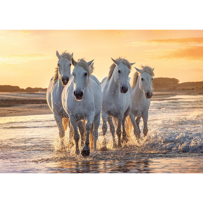 Poster kudde witte paarden op het strand 84 x 59 cm