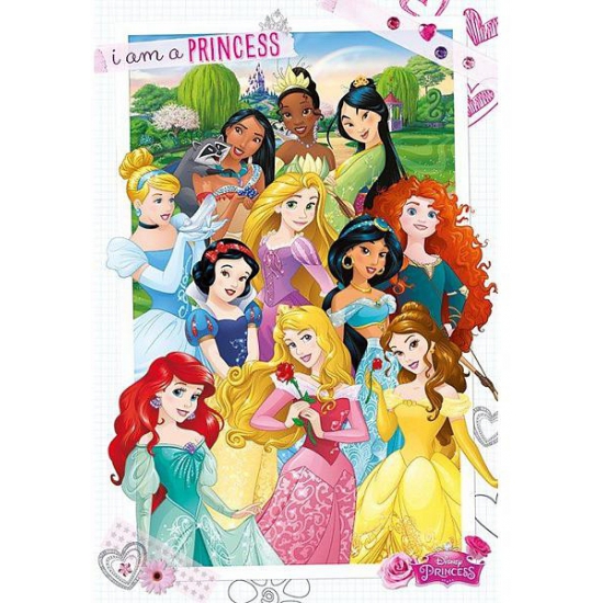 Themafeest prinsessen poster 61 x 91,5 cm
