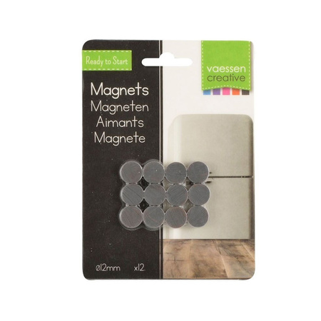 12x Ronde koelkast/whiteboard magneten 12 mm zwart