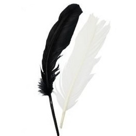 15x Black/white indians feathers 16 cm 