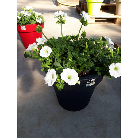 1x Antraciet grijze kunststof potten voor bloemen/planten 40 cm