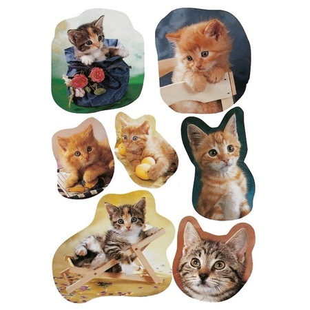 21x Kitten stickertjes voor kinderen