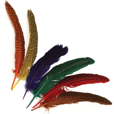 24x Gestipte veren in verschillende kleuren