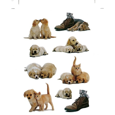 27x Honden/puppy/poezen/katten stickertjes voor kinderen
