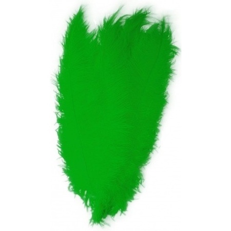 2x Groene decoratieveren/vogelveren 50 cm
