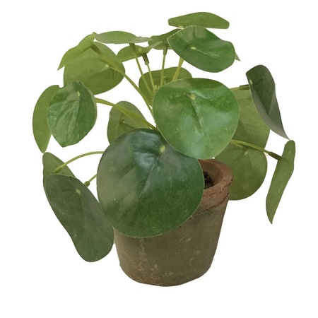 2x stuks nep pannenkoeken planten groen in pot 13 cm kunstplant