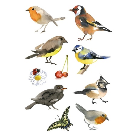 30x Vogel stickertjes voor kinderen