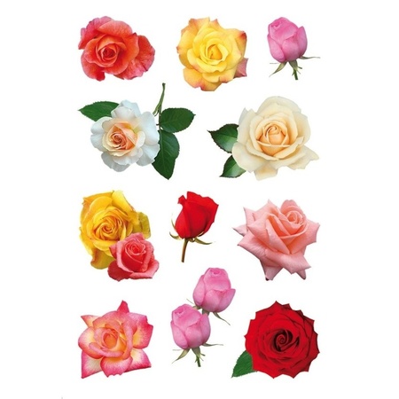 33x Coloured roses flower stickers