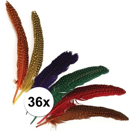36x Gestipte veren in verschillende kleuren