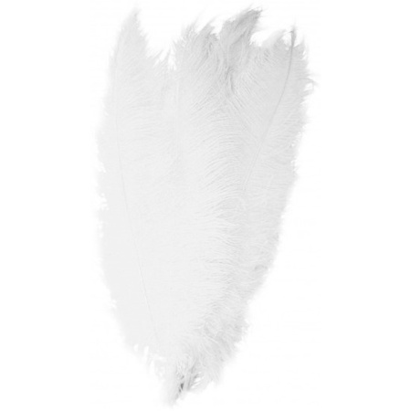 5x Large white ostrisch decoration feathers 50 cm