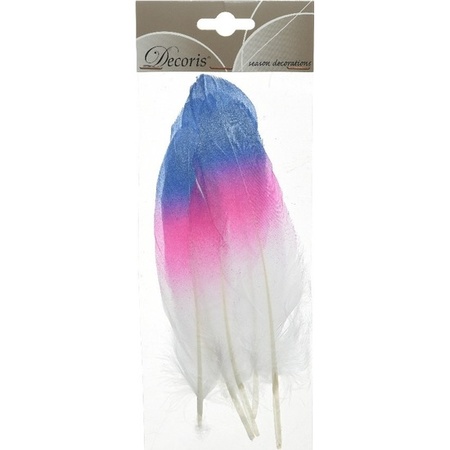 6x Blue/pink/white feathers 18 cm decorations