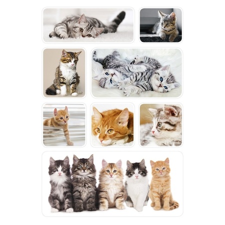 72x Poesjes/kittens stickertjes voor kinderen