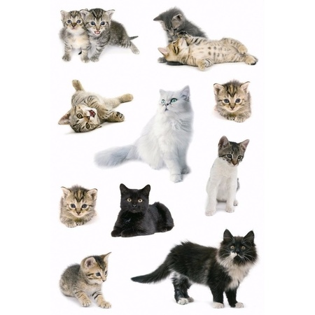 Cat stickers 9 sheets