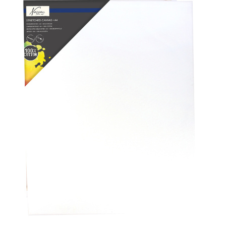 2x Painting canvas 21 x 30 cm craft/paint material with set of 10x good brushes