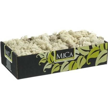 Decorative/hobby moss natural/white 500 gram