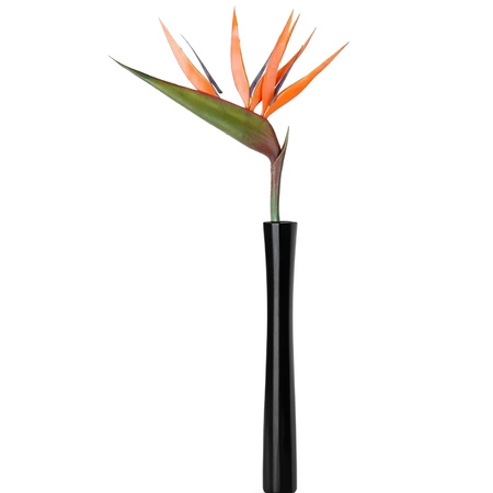 Kunstbloem Strelitzia - 90 cm - losse tak - kunst zijdebloem - Paradijsvogelplant - decoratie