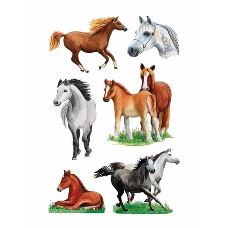 Dieren stickers paarden rassen 6 stuks