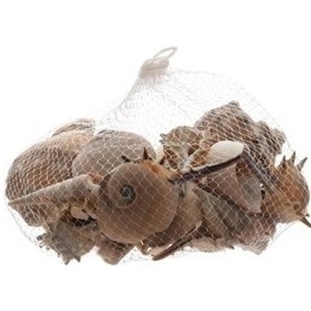 Set of 5 bags Decorative/hobby brown shells 350 grams