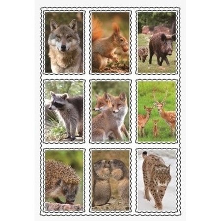 Wild animals 3D sticker set